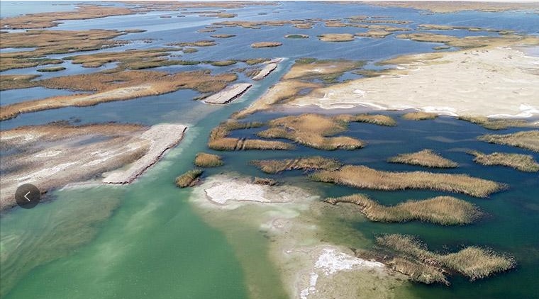 內(nèi)蒙古阿拉善:多彩額濟(jì)納 繽紛迎客來