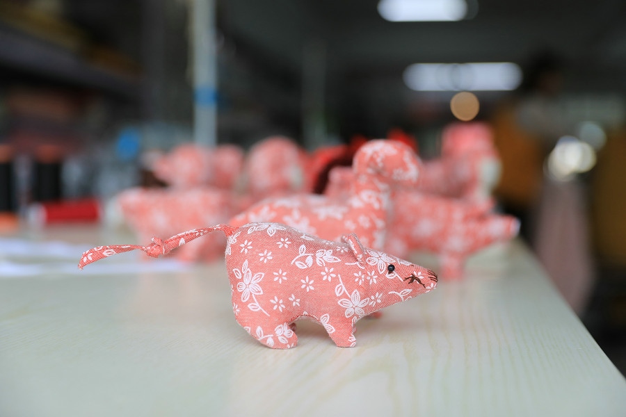 “玉龍之鄉(xiāng)”做大蕎麥產(chǎn)業(yè)帶動(dòng)貧困戶增收