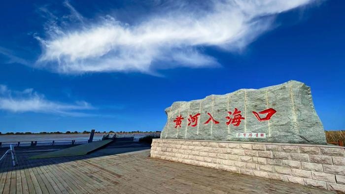 △黃河入?？谖挥谏綎|東營市墾利區(qū)。(總臺央視記者彭漢明拍攝)