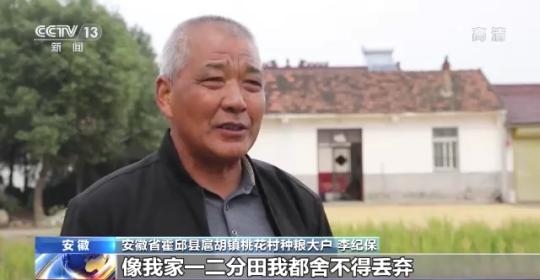 十八連豐！秋收近九成 我國糧食產(chǎn)能穩(wěn)步提升