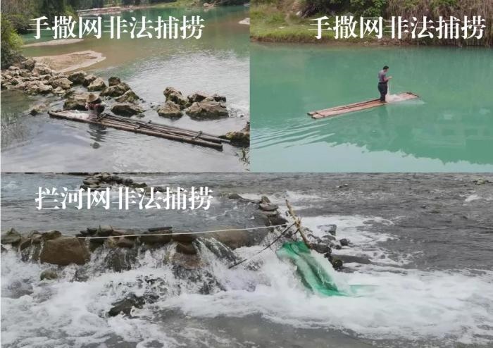 2021年9—10月，前期暗查發(fā)現(xiàn)，保護(hù)區(qū)核心區(qū)內(nèi)非法捕撈行為十分猖獗