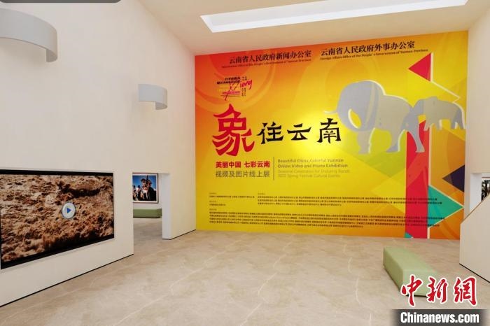 圖為“象”往云南——美麗中國(guó) 七彩云南視頻及圖片線上展截圖?！『h(yuǎn)航 攝