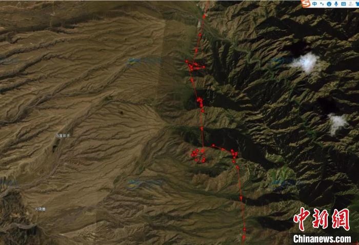 圖為雪豹故地重游來到放歸地的足跡?！?nèi)蒙古賀蘭山國(guó)家級(jí)自然保護(hù)區(qū)供圖