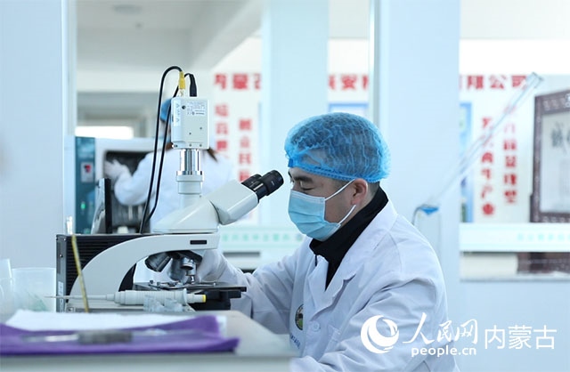 內(nèi)蒙古中農(nóng)興安種?？萍加邢薰韭鋺艨朴抑衅?，為肉牛產(chǎn)業(yè)發(fā)展提供了優(yōu)質(zhì)的種源保障。白俊華攝