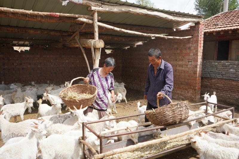 1594200390151182.jpg 微信圖片_20200708172609.jpg