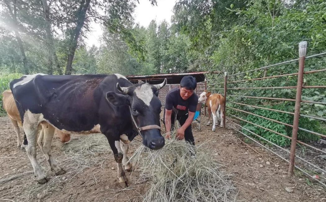 1596073943715144.png 微信圖片_20200730095107.png