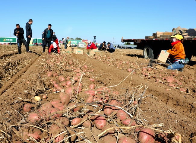 1600599881500795.jpg 7O5A5497.JPG