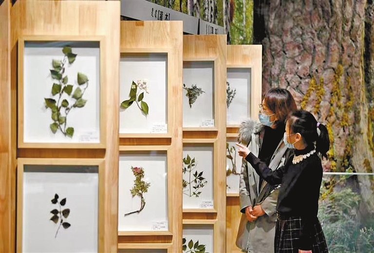 1613469427890924.jpg 1382206_an_1612850969690_s.jpg