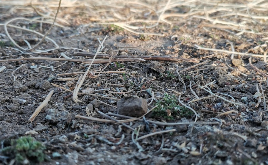 1615957438815907.jpg 微信圖片_20210317125707.jpg