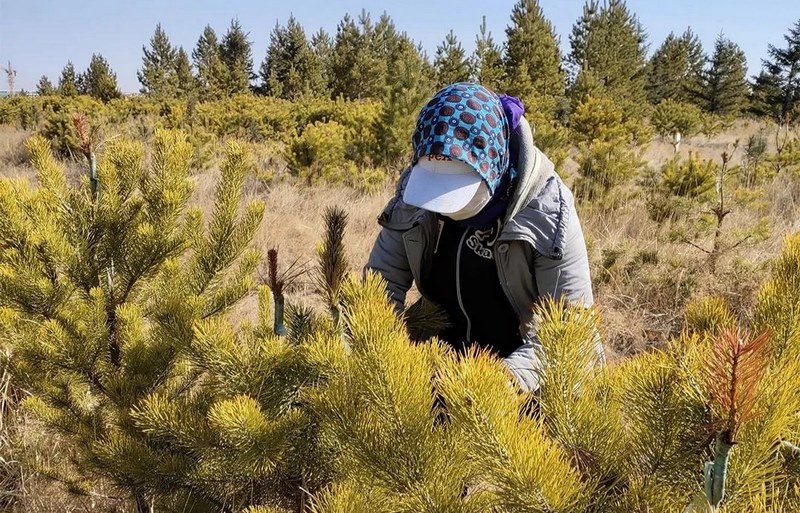 1630382118792848.png 微信圖片_20210831114307.png