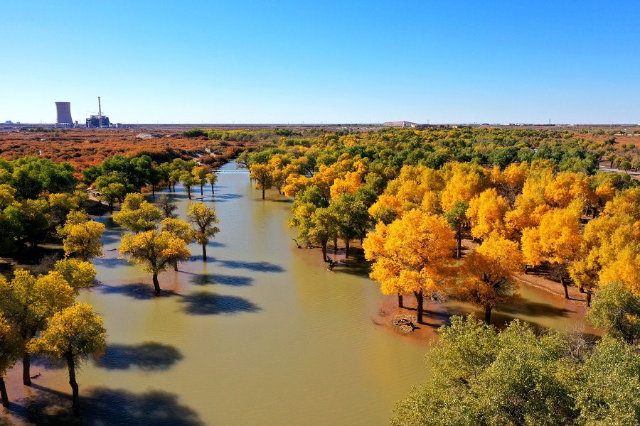 1633877223138932.jpg DJI_0804.JPG