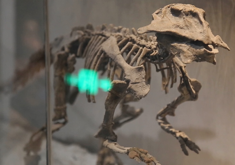 1648201448879870.png 圖片7.png