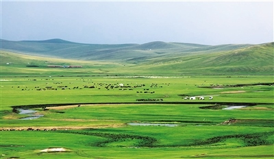 1658367141184778.jpg 00300576415_4697ecaa.jpg