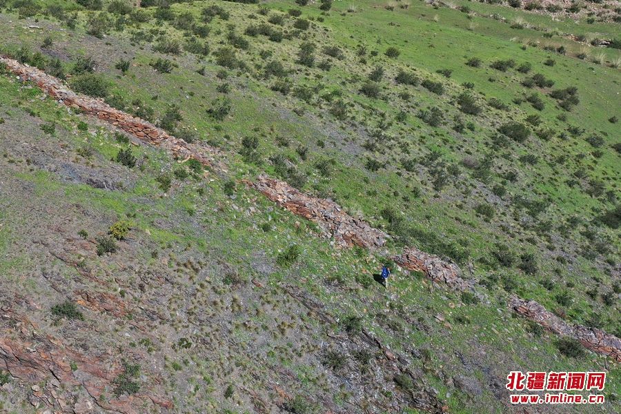 1660973362799530.jpg DJI_0812.JPG