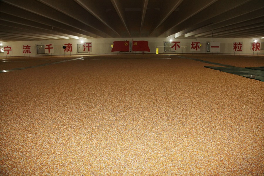 1663593807328676.jpg 6fcb16cd78c942cd883f7dd2d92bf620_noop.jpg