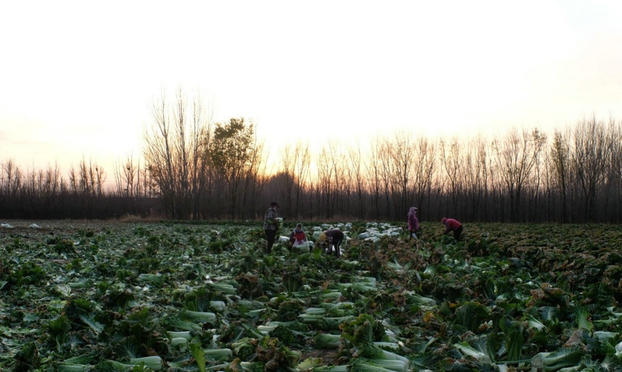 1667662567599088.jpg 微信圖片_20221105231427.jpg