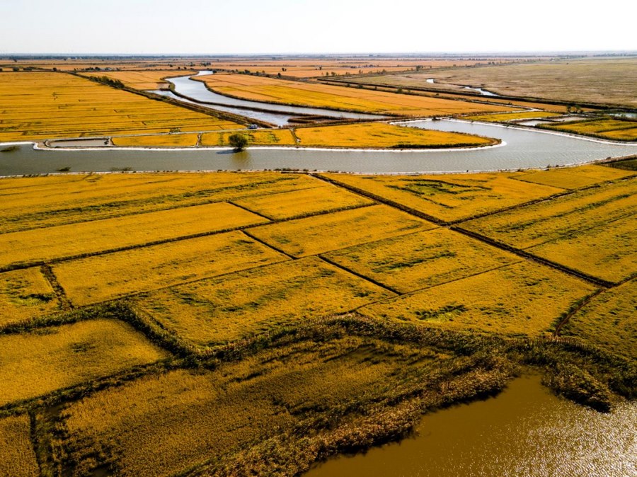 1673517268964471.png 微信圖片_20230112175303.png