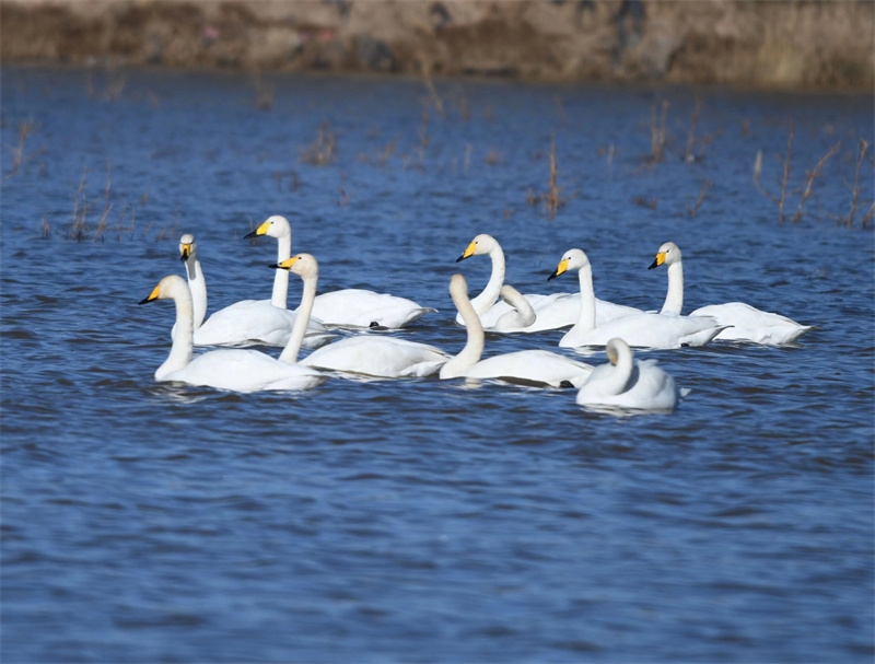 1677757613367749.jpg 微信圖片_20230302194154.jpg