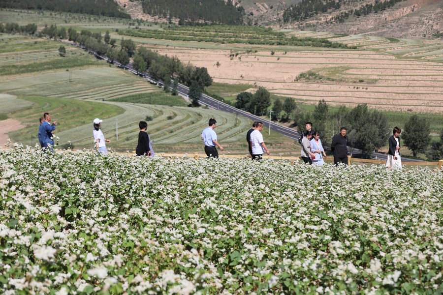 1692752324133381.jpg 7O5A7792.JPG