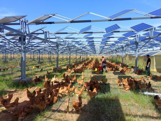 1701496571348600.png 蒙西基地200萬千瓦光伏治沙項(xiàng)目并網(wǎng)1202740.png