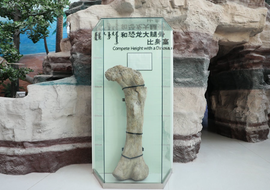 1702051892502611.jpg 微信圖片_20231209000429.jpg