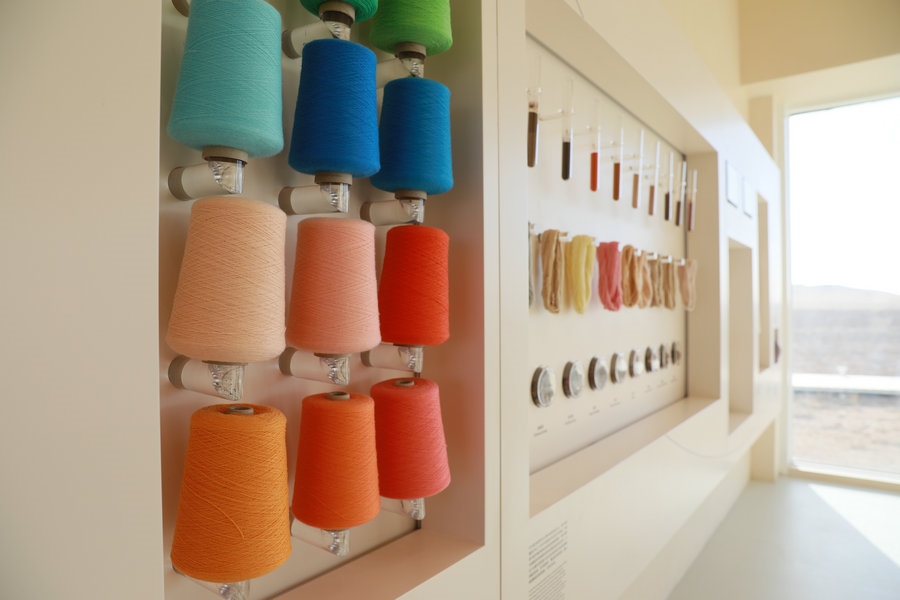 1702311425741351.jpg 7O5A9433.JPG