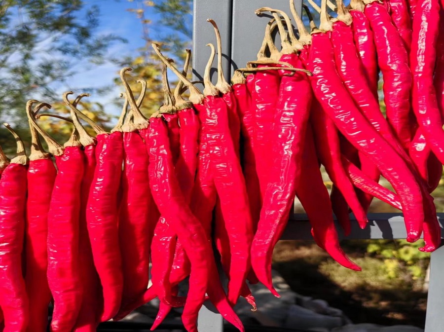 1726935114117055.png 圖片12.png