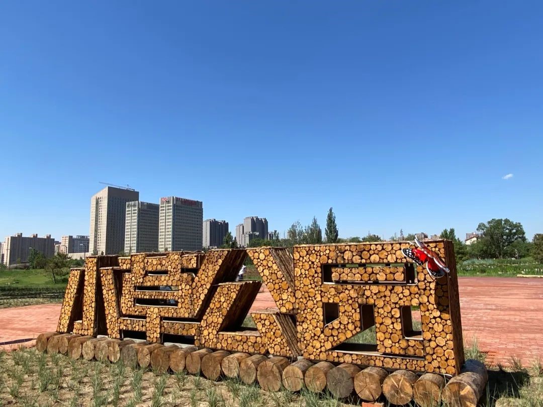 1731424901115974.jpg 03.jpg