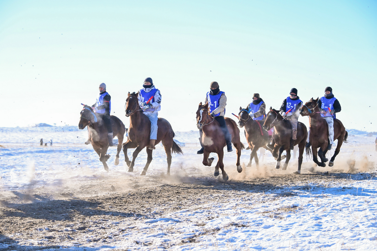 1735375718139022.jpg YJT_8027__27315873.jpg