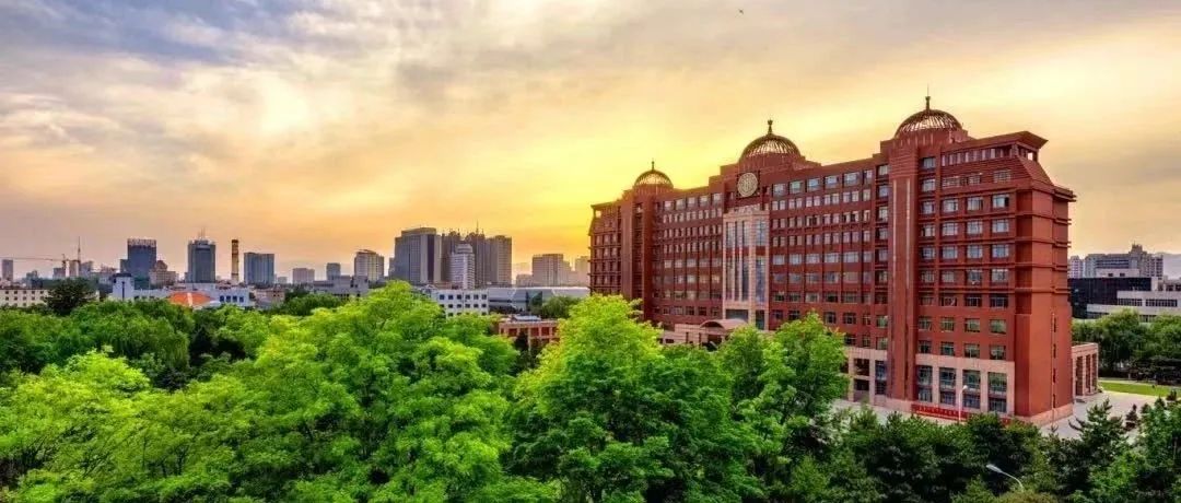 1736690433884303.jpeg 640-3.jpeg