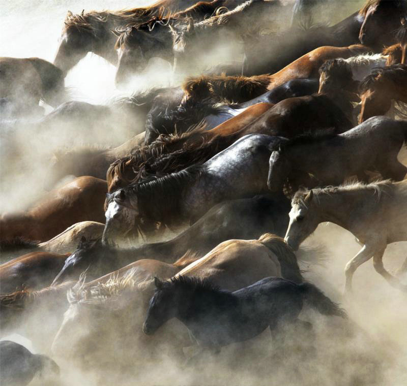 1745467089130033.jpg 006HydGGly4h57v3ce4apj30m80m8mzn.jpg