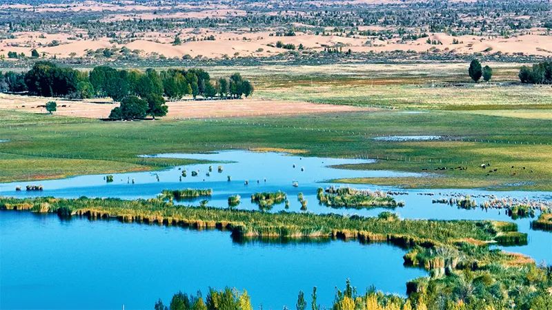 1748739878842002.jpeg 2.jpeg