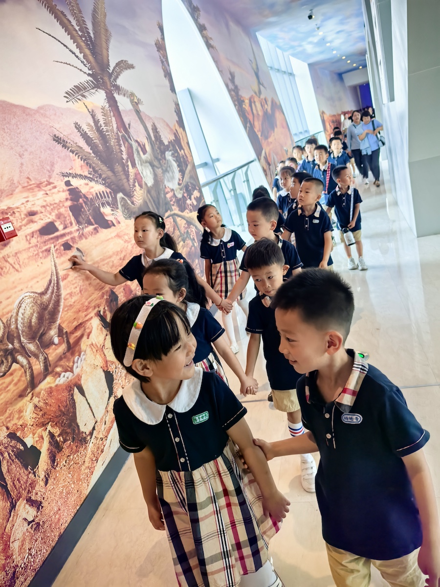 1750142978447143.jpeg WechatIMG11377.jpeg