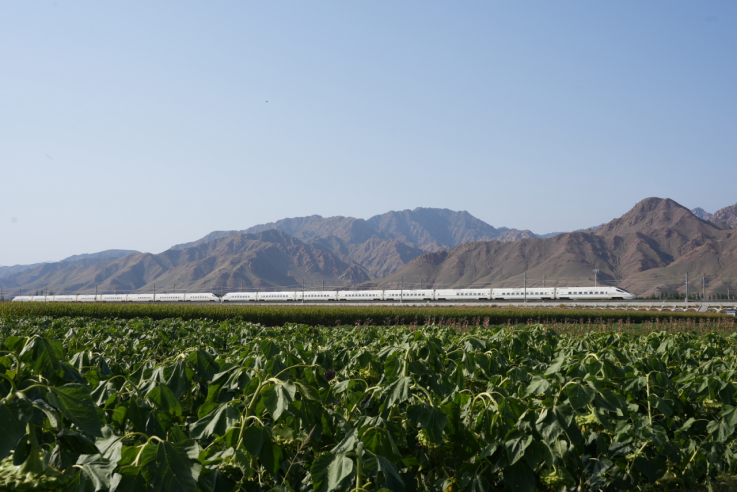 1757779989120252.png 圖片28.png