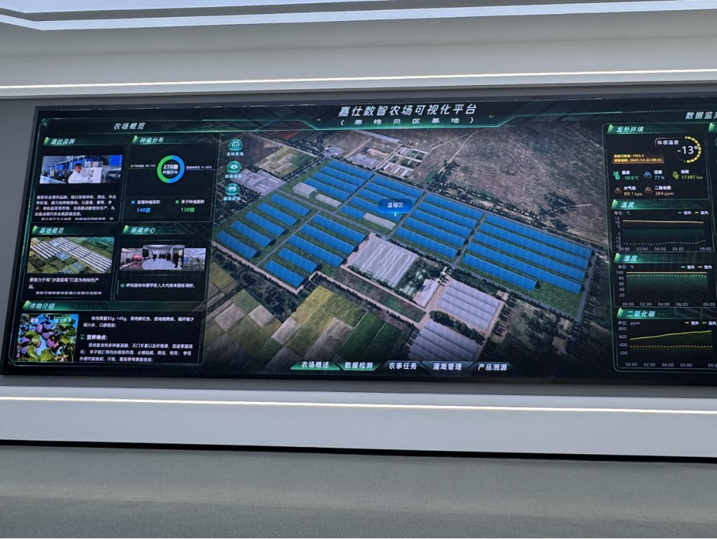 20260112嘉仕農(nóng)業(yè)藍(lán)莓栽培科技示范基地?cái)?shù)智農(nóng)業(yè)可視化平臺新華網(wǎng).png