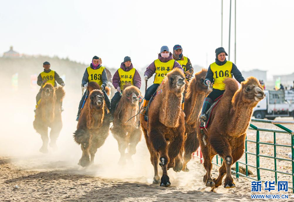 3月7日，賽駝手在6000米成年駱駝場地速度賽比賽中。.jpg