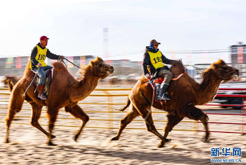 3月7日，賽駝手在6000米成年駱駝場地速度賽比賽中.jpg