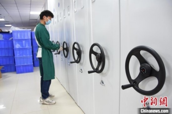 圖為鄭州大學人骨考古實驗室內(nèi)的骨骼標本庫。王宇 攝