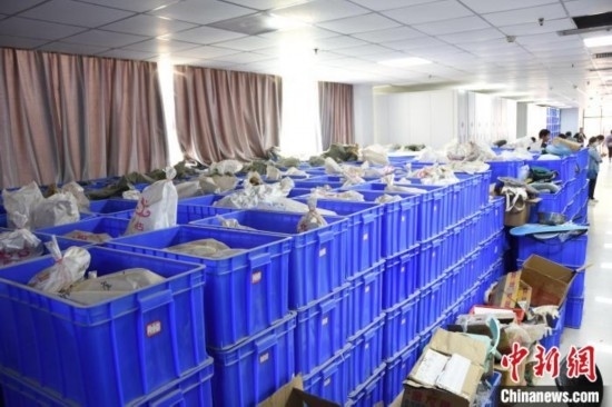 圖為待清理的骨骼標本。王宇 攝