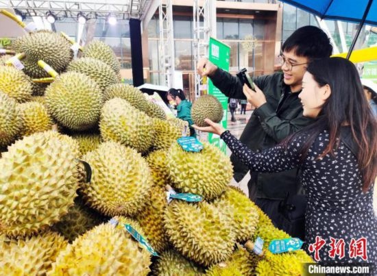 圖為廣西南寧市民在選購(gòu)榴蓮。黃艷梅 攝