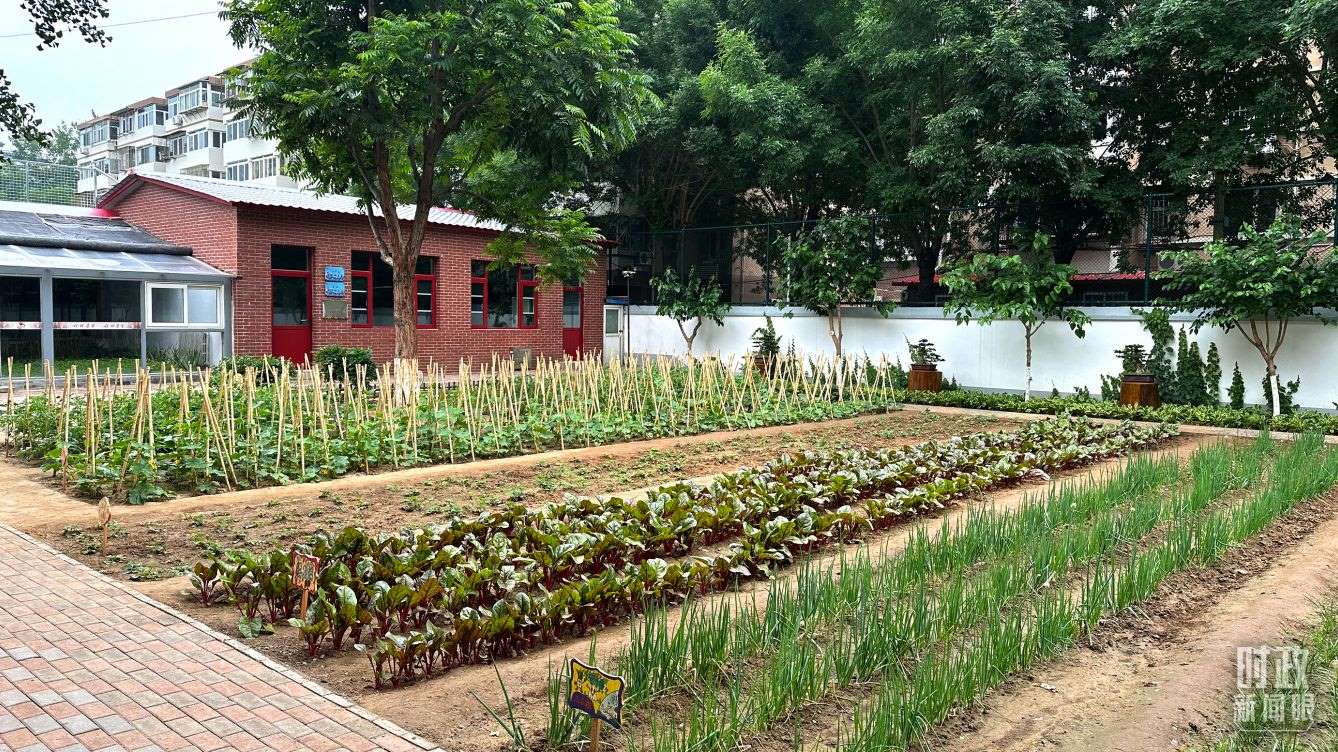 △學(xué)生農(nóng)場。（總臺央視記者趙化拍攝）