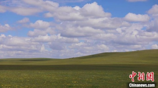 圖為點(diǎn)點(diǎn)新綠在原野上蓄勢待發(fā)。 歐戈 攝