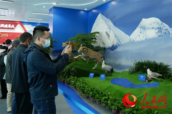 6月17日，觀眾正在觀展。人民網(wǎng) 韋衍行攝