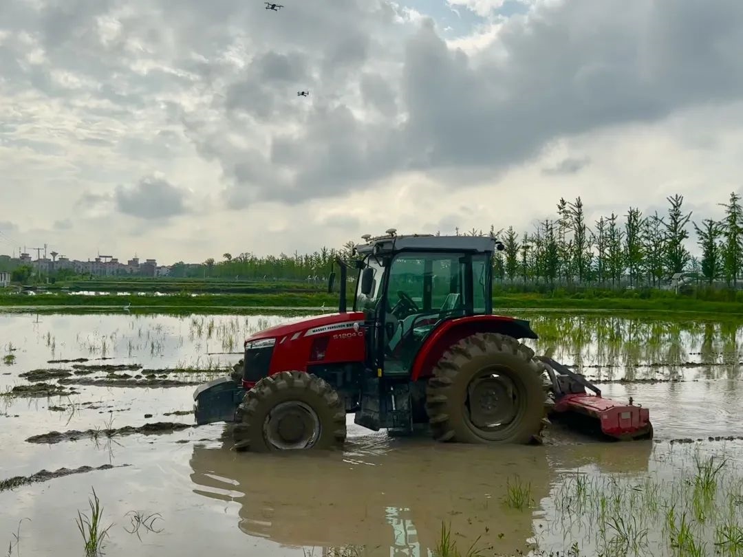 浙江省金華市東陽(yáng)市城東街道寀盧村的一臺(tái)無(wú)人駕駛耕地機(jī)。靜玄 攝