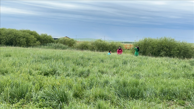 圖為游客在草原上拍照游玩。人民網(wǎng)記者 金洪花攝