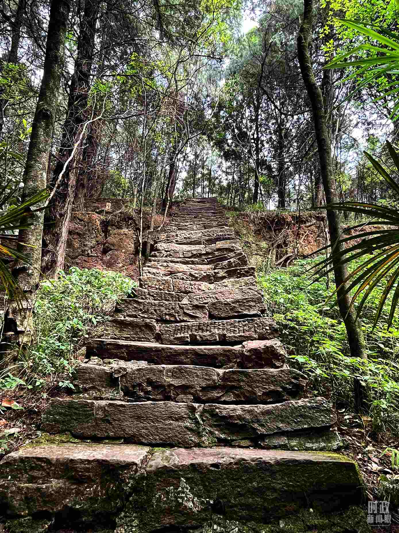 △古蜀道。（總臺(tái)央視記者郭曉龍拍攝）