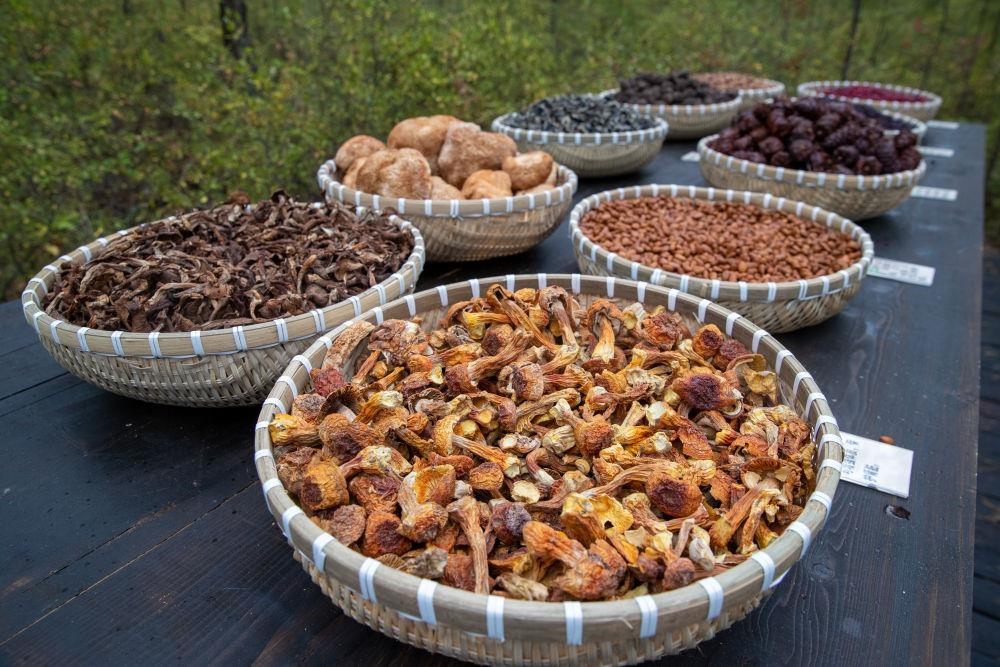 △近日，漠河市北極村一景區(qū)展示的林下產(chǎn)品。