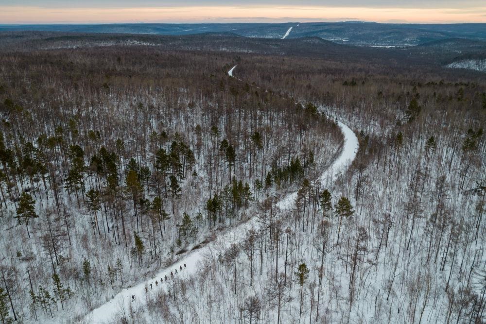 △2023年1月，漠河林場(chǎng)數(shù)十名職工自發(fā)組成的森林撫育隊(duì)伍，在人跡罕至的山林中作業(yè)。