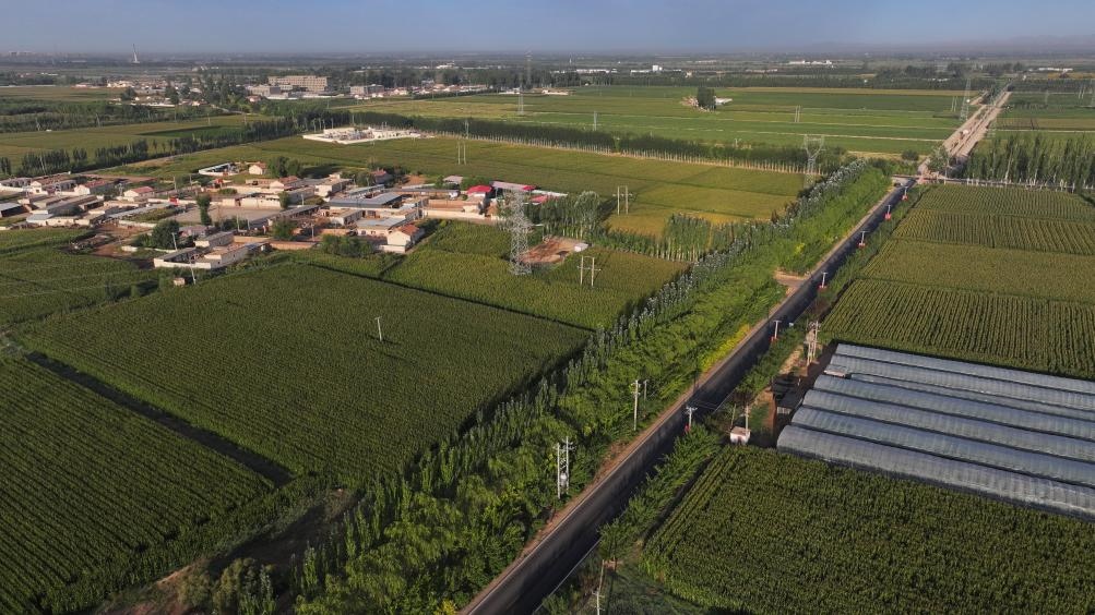 東興村周邊建起防護(hù)林網(wǎng)（無人機(jī)照片，2023年9月12日攝）。新華社記者李云平 攝