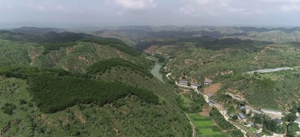 黃土溝壑中的高西溝村滿眼綠色（無人機(jī)照片，2023年7月26日）。新華社記者陳昌奇 攝